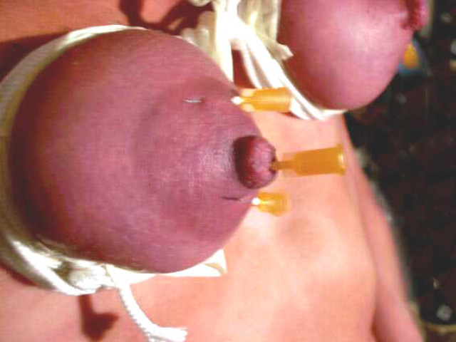 punishment — 41