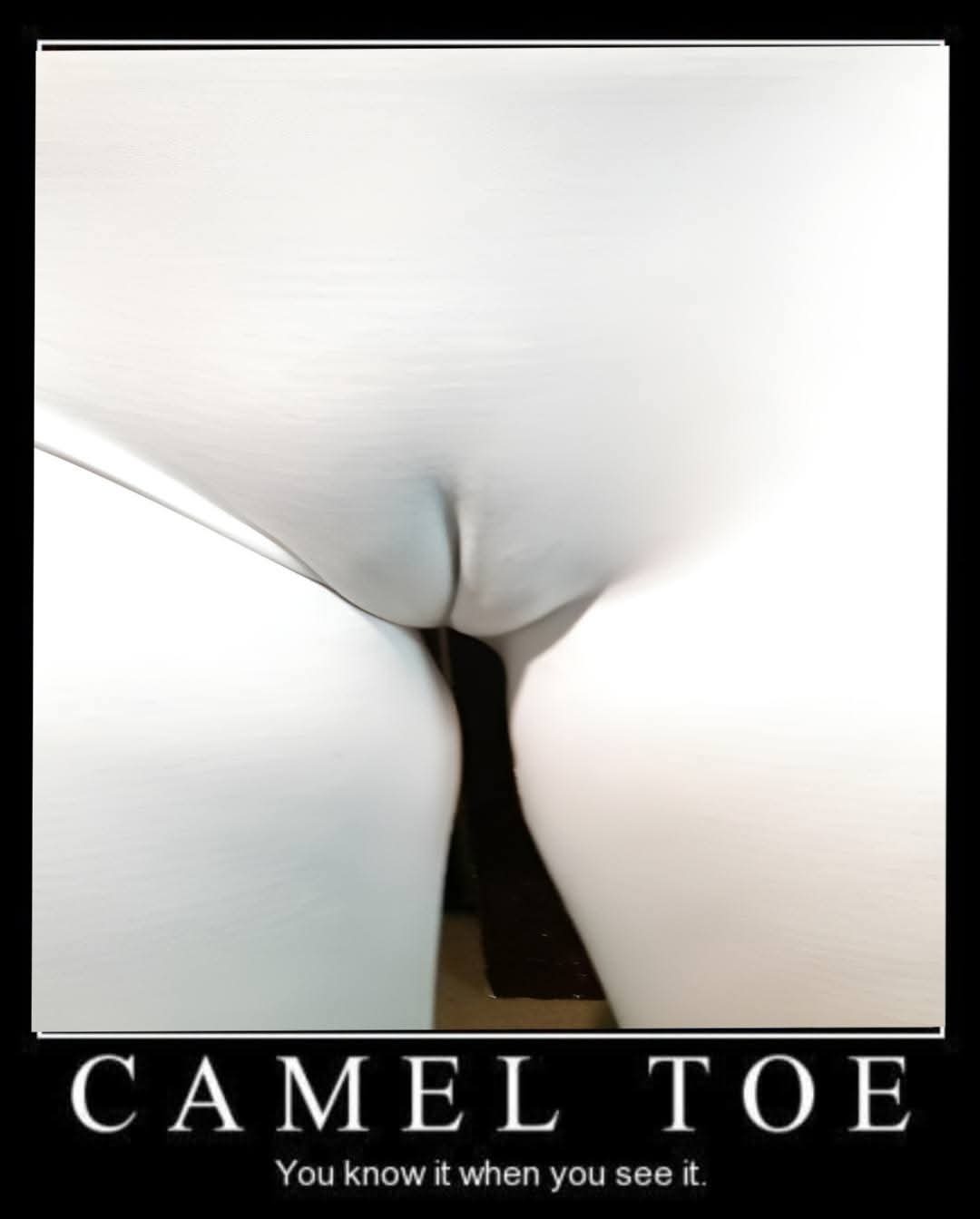 Wifes cameltoe one of the best out there. — 12